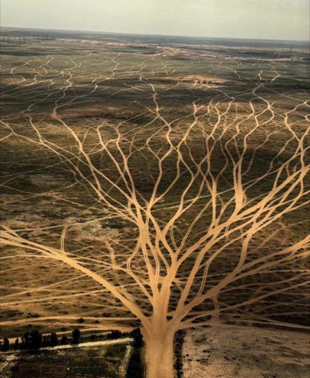 Motorsport Consultancy - Journey